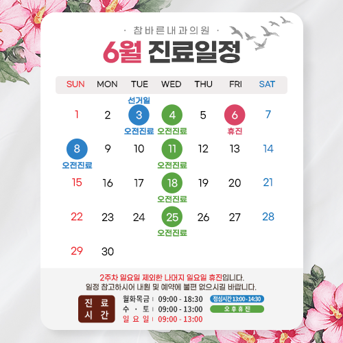 진료일정